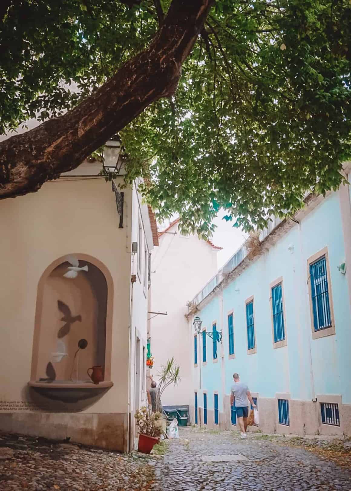 walk through the streets of the alfama neighbourhood