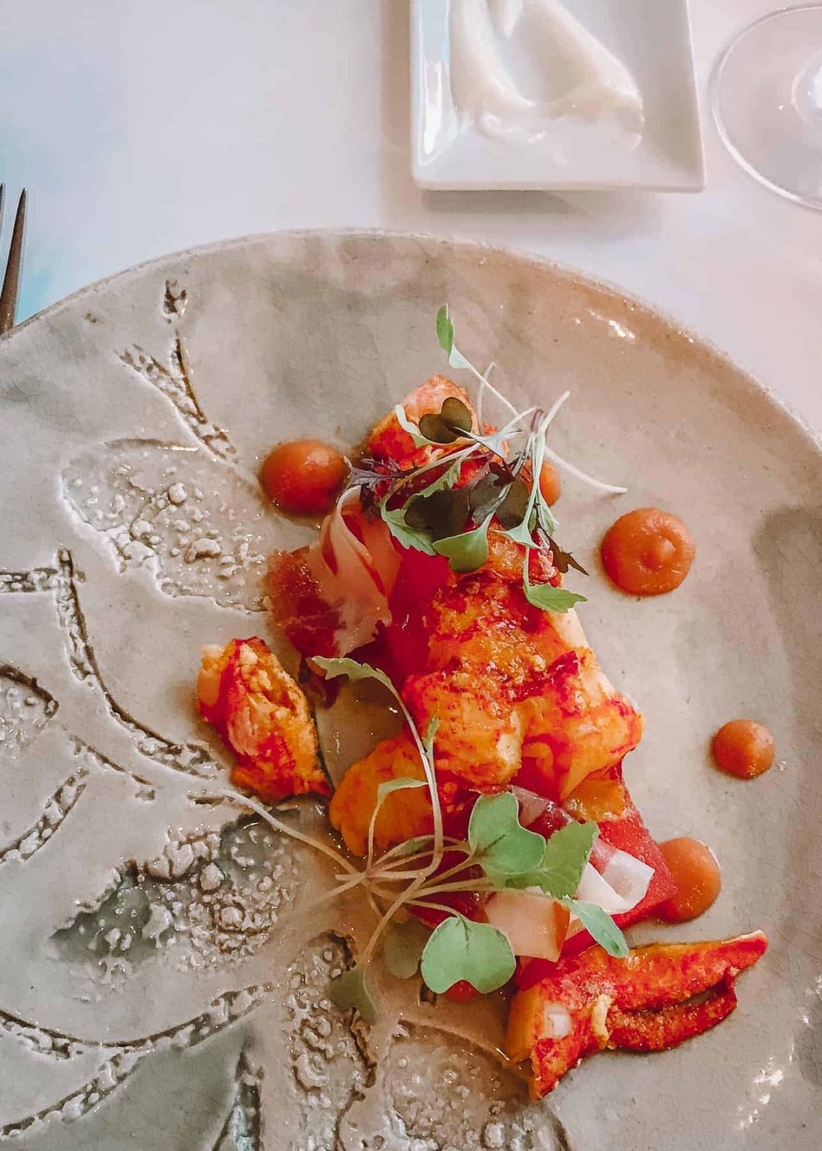 a beautiful plating of a seafood dish with orange sauce and a leafy garnish, a must eat in Tagide in Lisbon