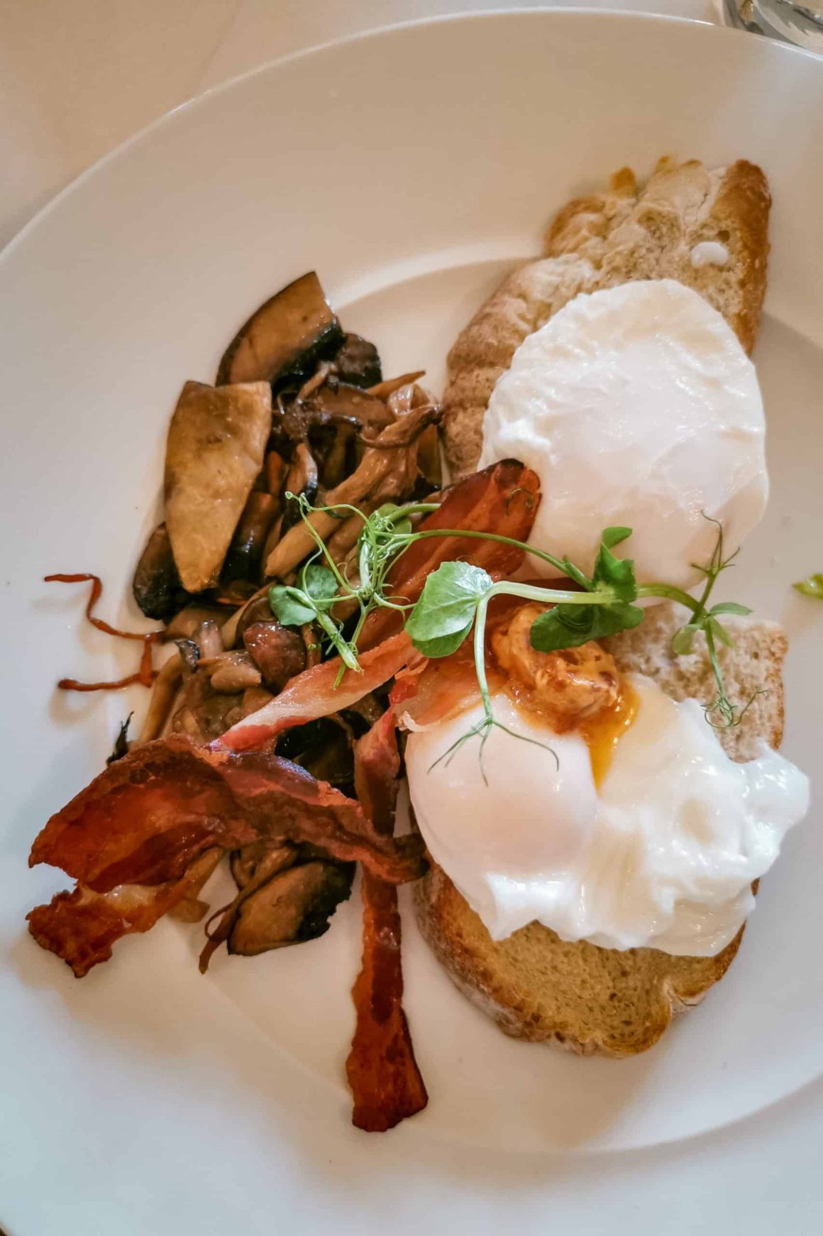 poached egg with chorizo