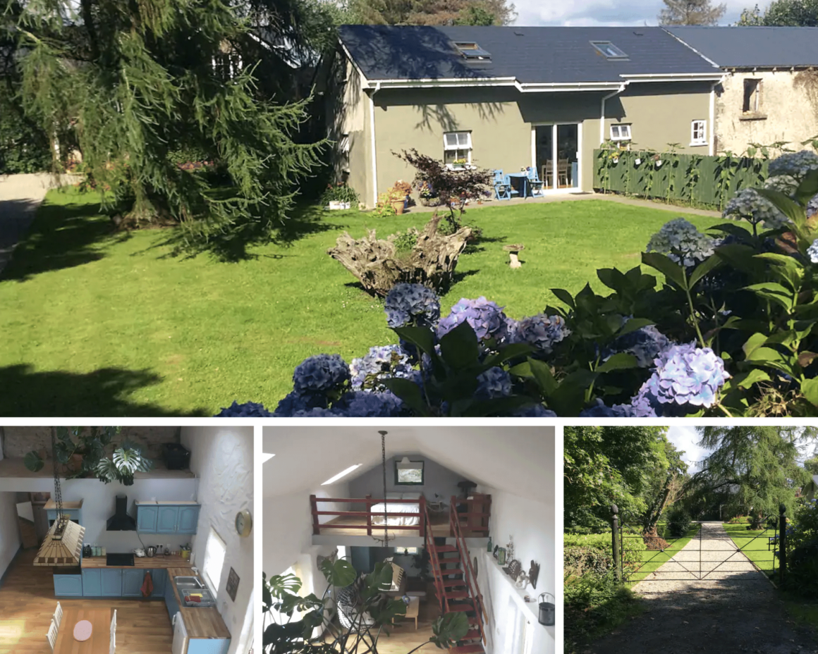 Peaceful garden surrounding a cosy holiday cottage near Killarney with mature trees and hydrangeas