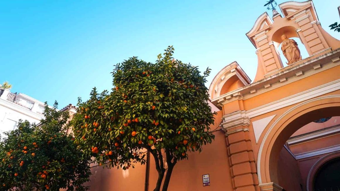 Orange trees laden with fruit beside a peach-coloured church entrance beneath a blue sky in Seville.