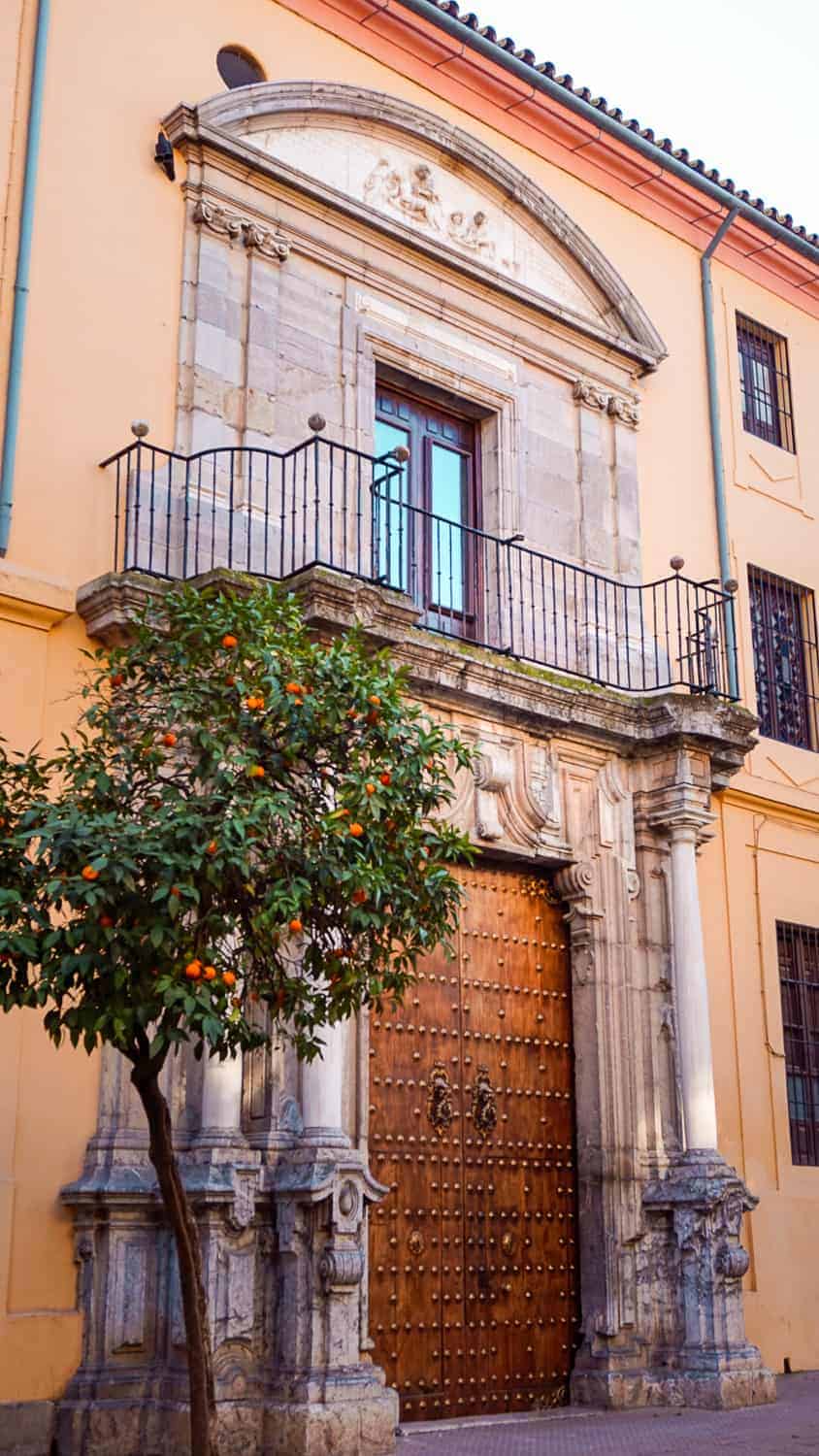 Building with old door and orange tree in Andalusia spain