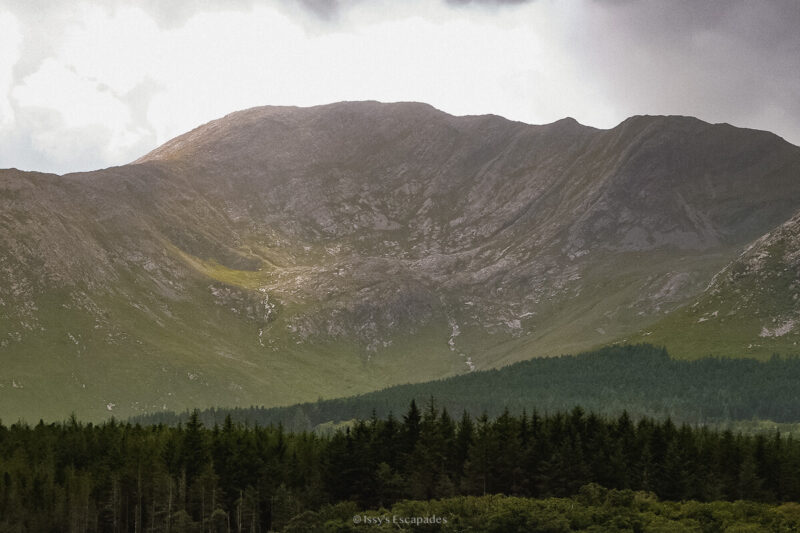 A rugged horseshoe-shaped mountain slope above dark conifers beneath cloud
