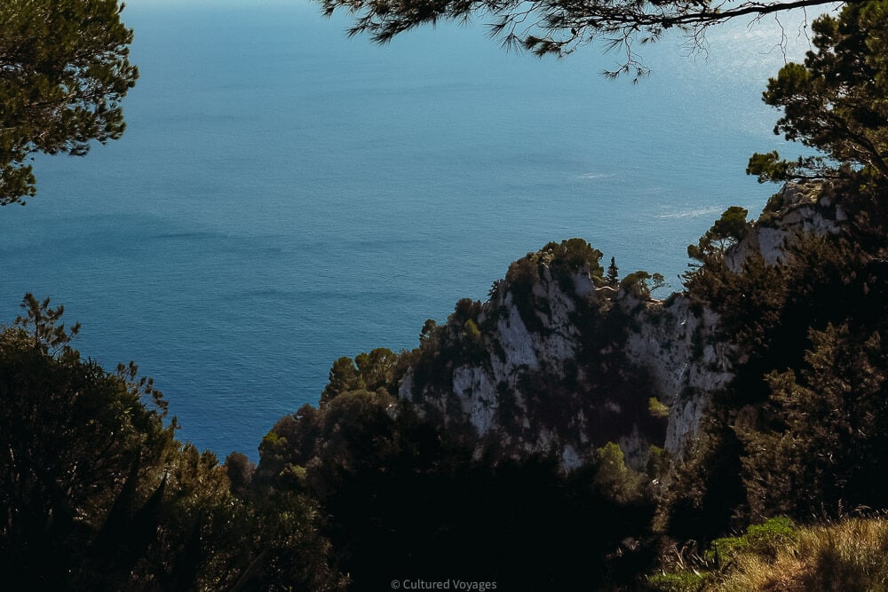 The Insider's Guide to Visiting Capri: Top Tips + Info - Cultured