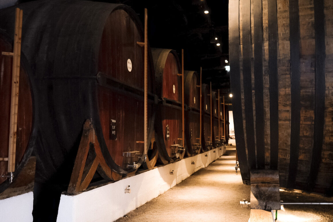 a dirt path with large wooden barrels lined up on the side