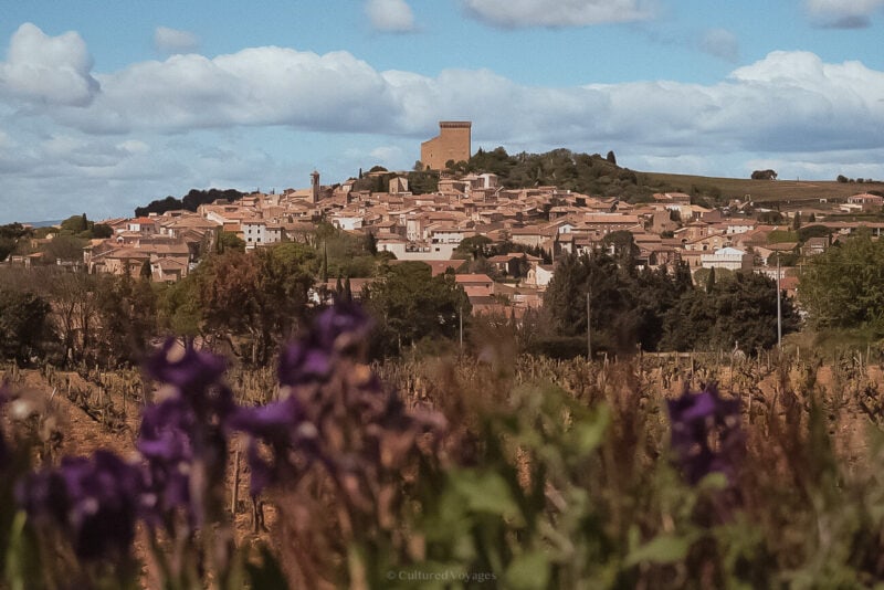 Vineyards and flowers beneath the hilltop village of Châteauneuf-du-Pape
