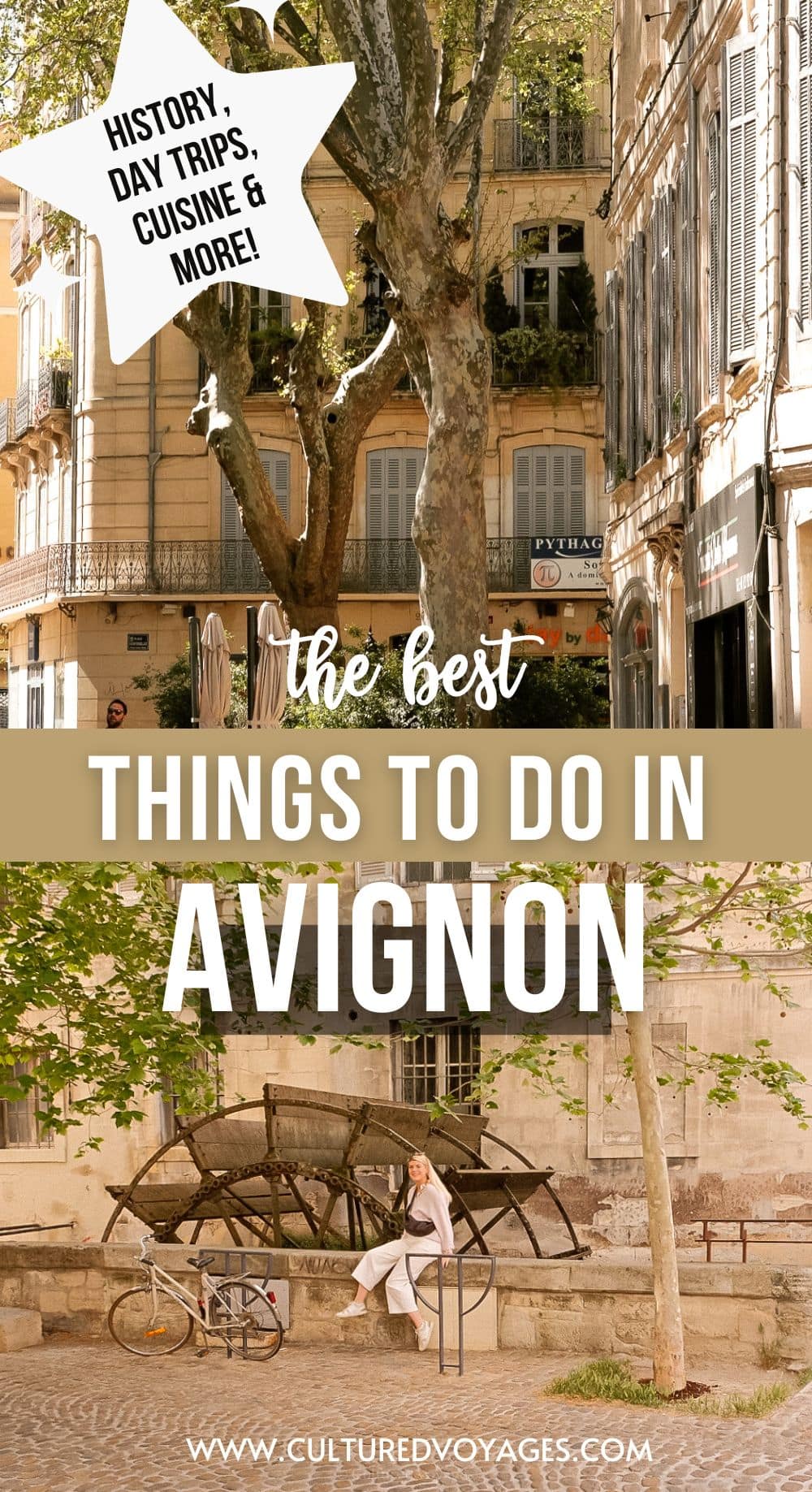things to do in avignon pin cover, showing top image of french city buildings with shutters and railed balconies, with old plan treres in fronth, and second image of girl sitting on wall in front of old water wheel on rue des teinturiers