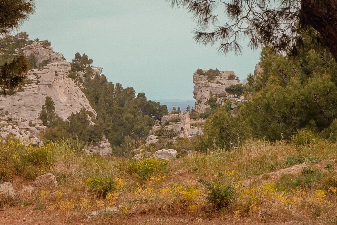 Small yellow flowers adorn tall bushes in the foreground, while trees surround cliffs under a blue sky in the picturesque background.