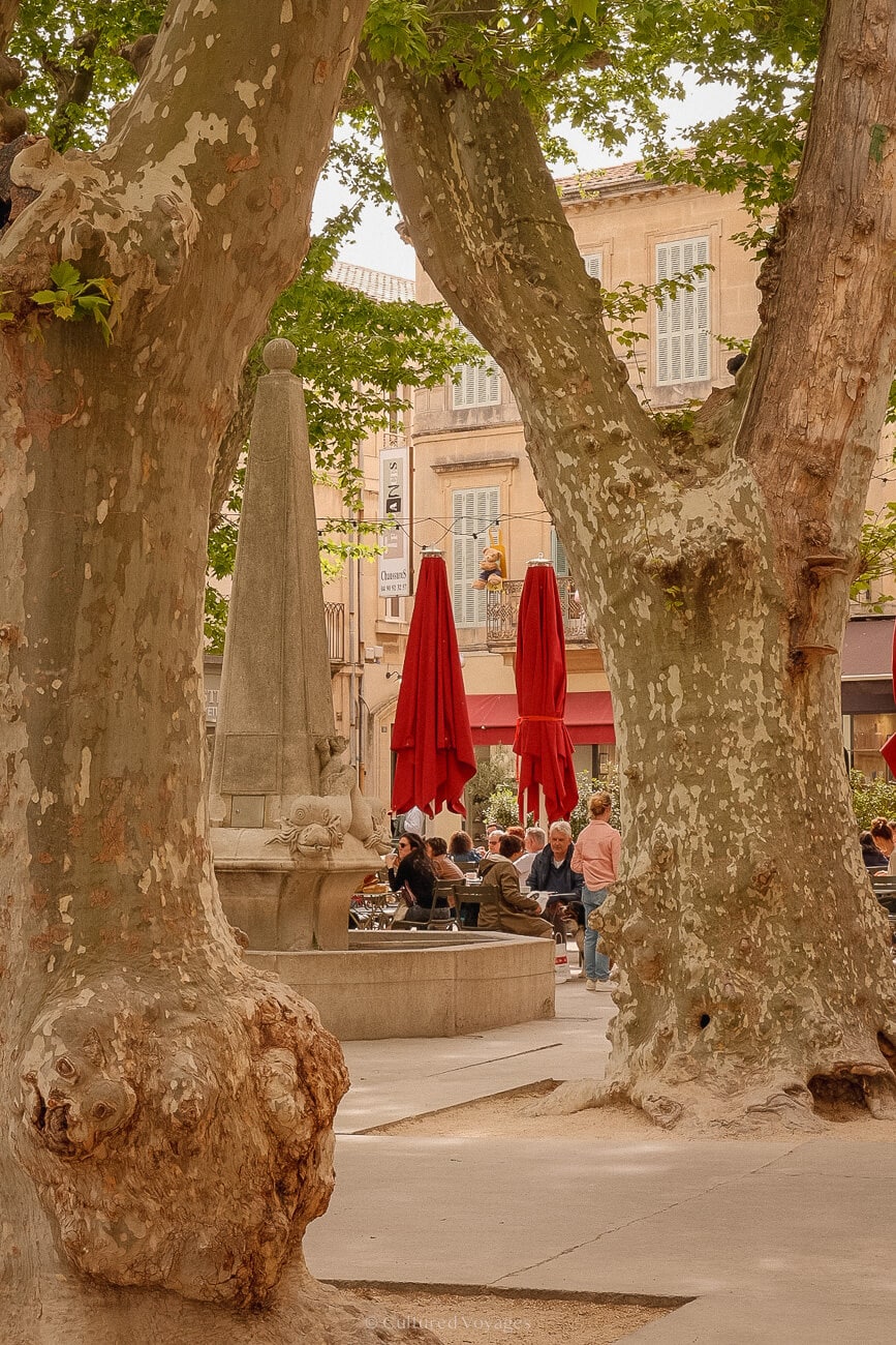 Large branches and a fountain are in the foreground while two red closed umbrellas, people sitting, and a yellow building are in the back.