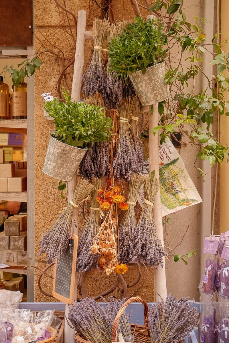Bunches of lavender hang among potted plants on a wall in Saint-Rémy-de-Provence