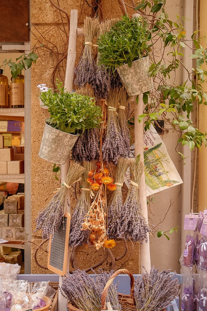 A display for lavender in bunches hanging on wooden sticks while surrounded by potted hanging plats on a wall.