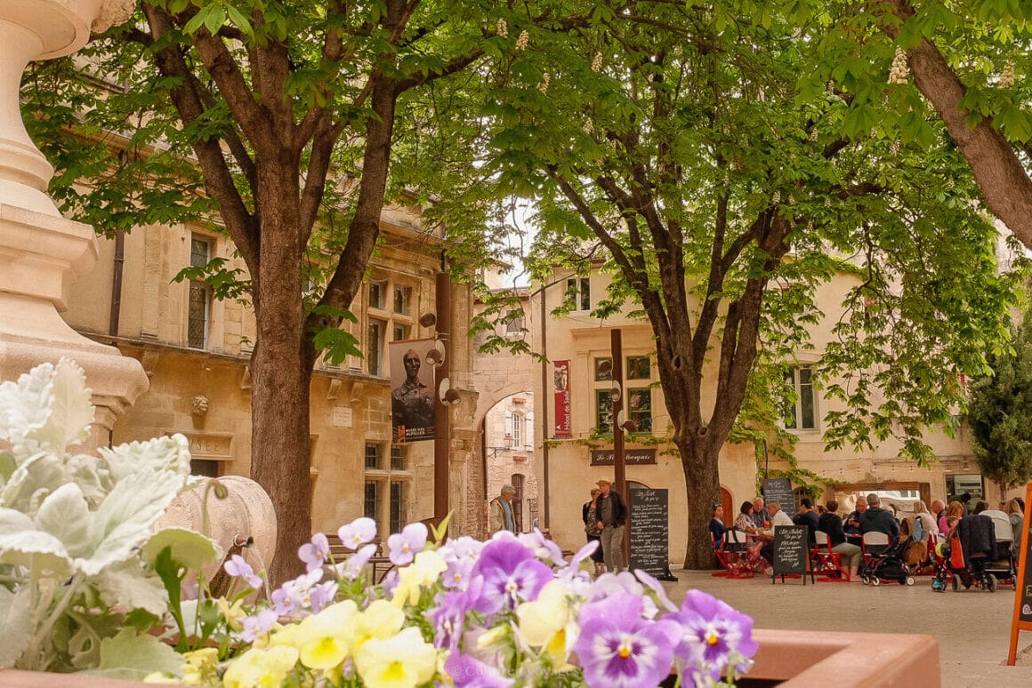 Pansy flowers next to a fountain in the foreground, with people dining and walking in the background, surrounded by trees and white stone-walled buildings.