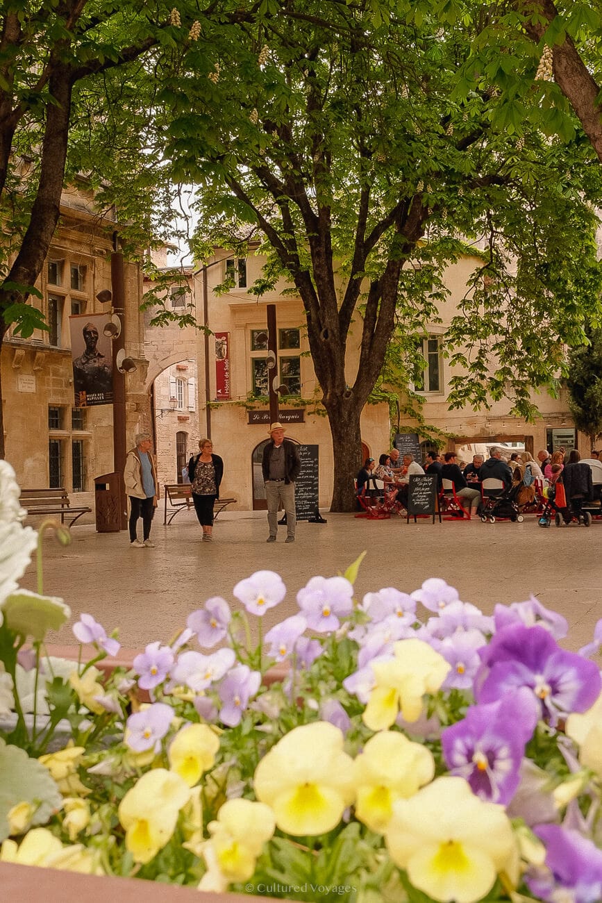 People dining and strolling in an open space with an outdoor restaurant area, surrounded by colorful yellow and purple pansy flowers, trees, and stone-walled buildings.