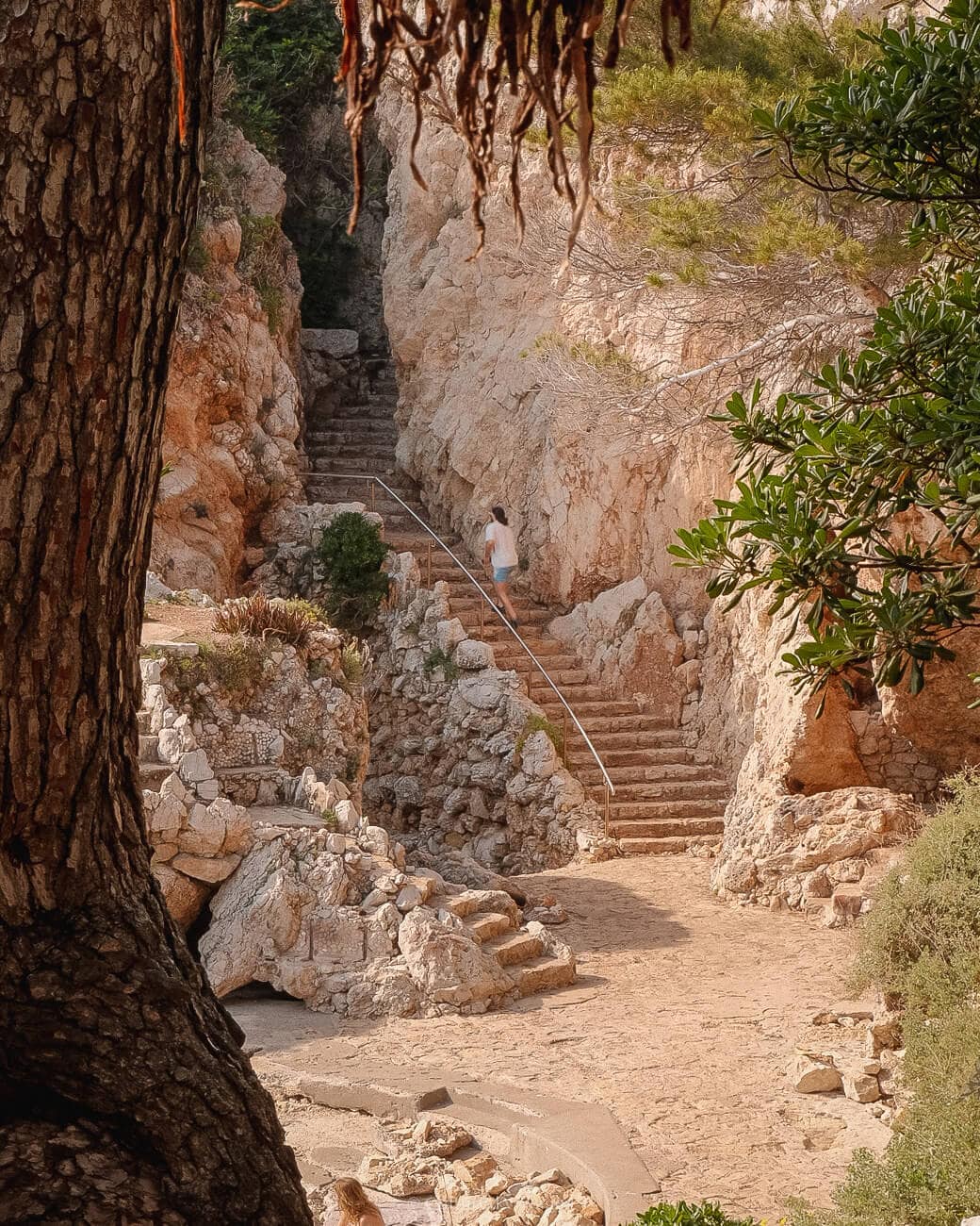 Stone staircases with metal hand rails besides a cliff surrounded by lush vegetation in the foreground, going here makes it worth visiting Antibes.