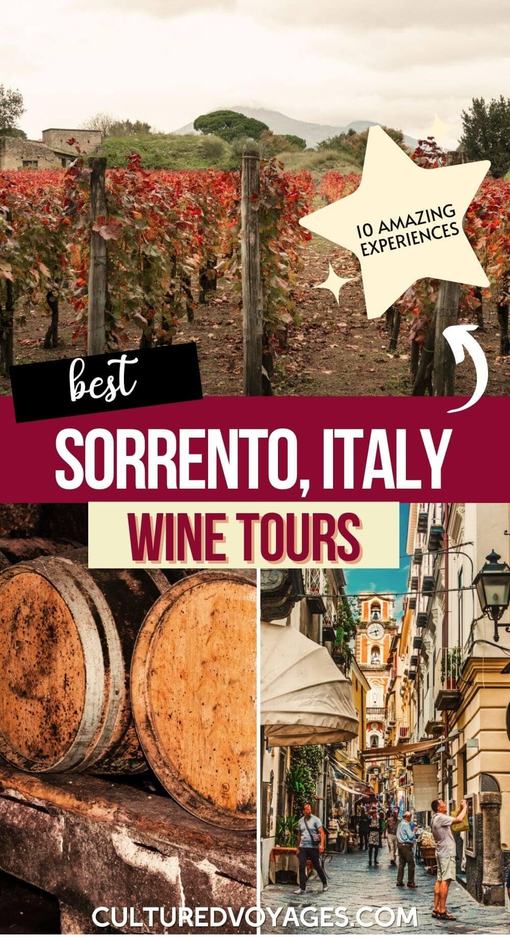 sorrento wine tasting pin cover, a vineyard with red leaves, and wine barrels and people on the street of sorrento
