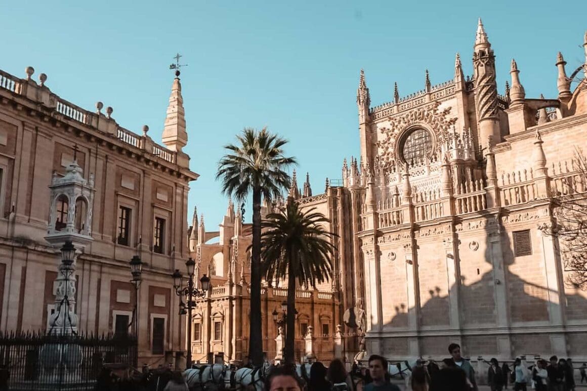 Ornate exterior of Seville Cathedral framed by palm trees and historic buildings at Plaza del Triunfo in Seville, Spain.