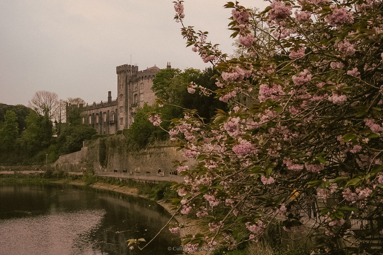 Kilkenny Castle above the River Nore, framed by pink blossom.