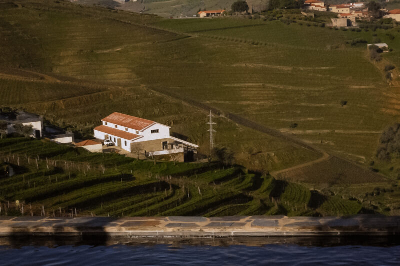 White estate buildings among vineyard terraces beside the Douro River