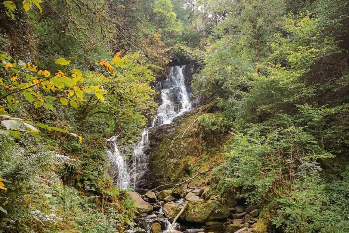 Cascading waterfall flowing over dark rocks surrounded by dense woodland and ferns in Killarney National Park, Ireland.