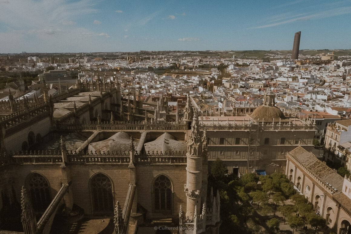 Aerial view of the Seville Cathedral with a view of its small open garden within the wall of Gothic cathedral featuring its pointed rooftops, with the aerial view of the town with white walls under clear blue skies. Wondering how many days in Seville? Explore the cathedral and the picturesque town from above.