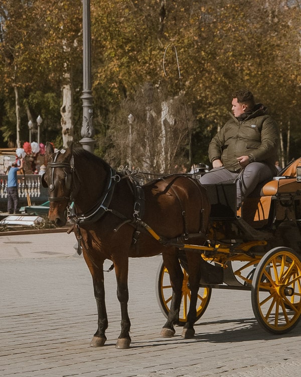 A man on a horse-drawn carriage on a road with a view of trees in the background. Wondering how many days in Seville? Experience the charm of traditional transportation and scenic views in the city.