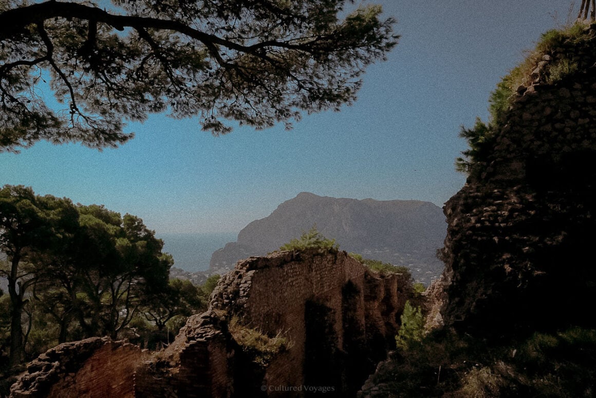 Ancient stone ruins surrounded by greenery, with a view of a distant mountain and the sea under a clear blue sky, framed by the branches of a pine tree.