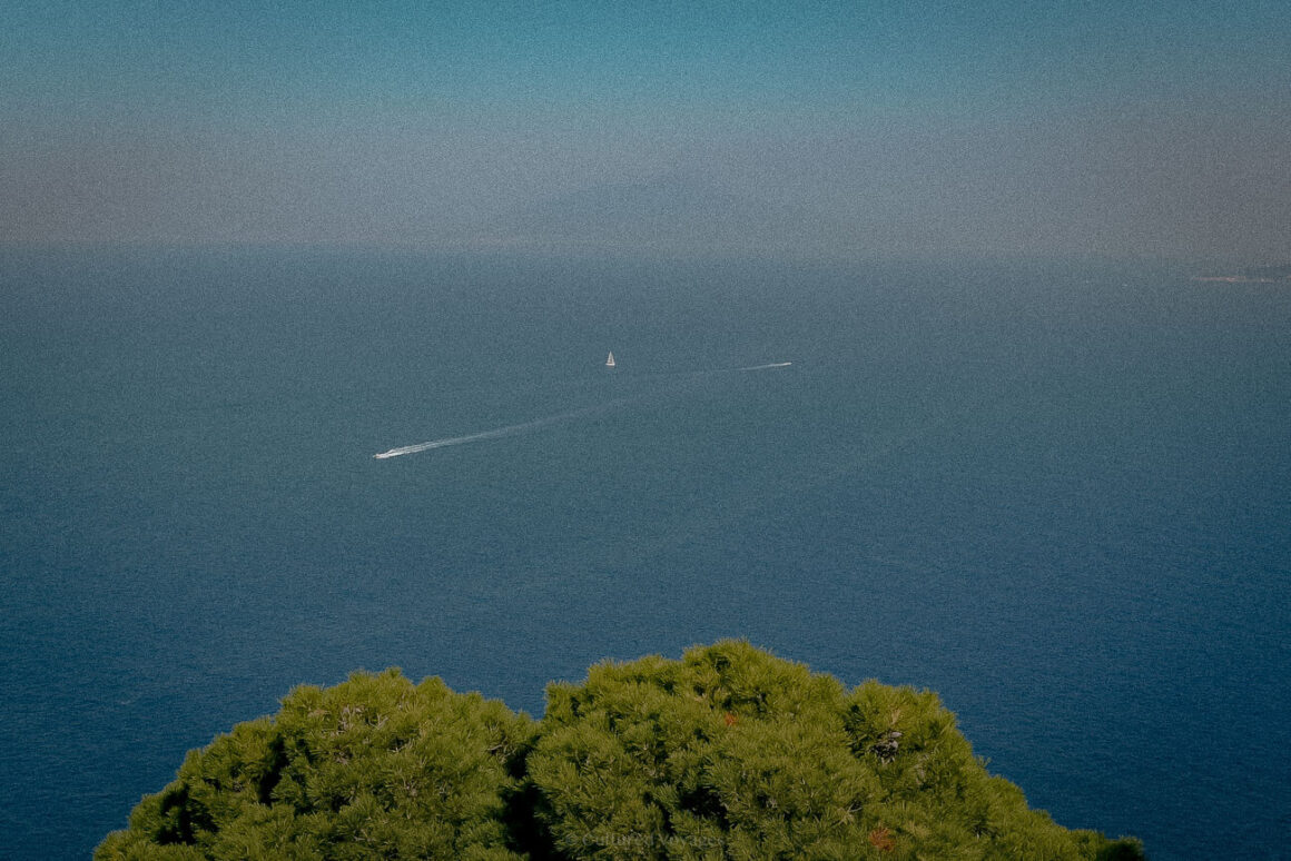 A serene view of the open sea, with a small white sailboat in the distance and a speedboat creating a faint white trail, framed by the tops of lush green pine trees.