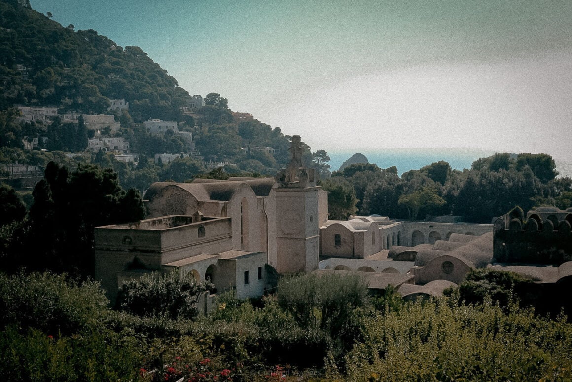 A peaceful scene of a hillside town with whitewashed buildings, surrounded by dense greenery and overlooking the sea, captured on a Naples to Capri Day Trip.
