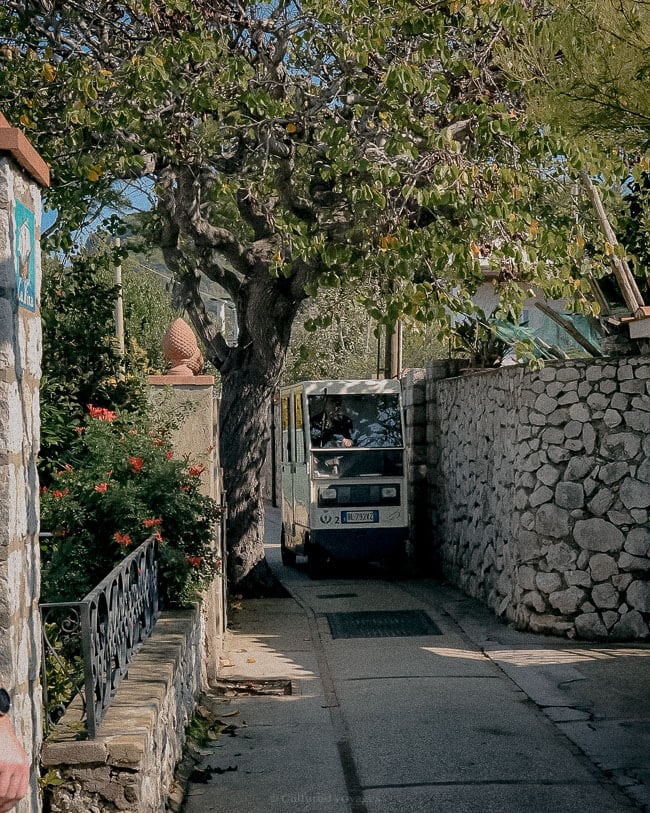 A narrow electric cart driving along a stone-paved lane bordered by trees, flowers, and stone walls, under dappled sunlight.