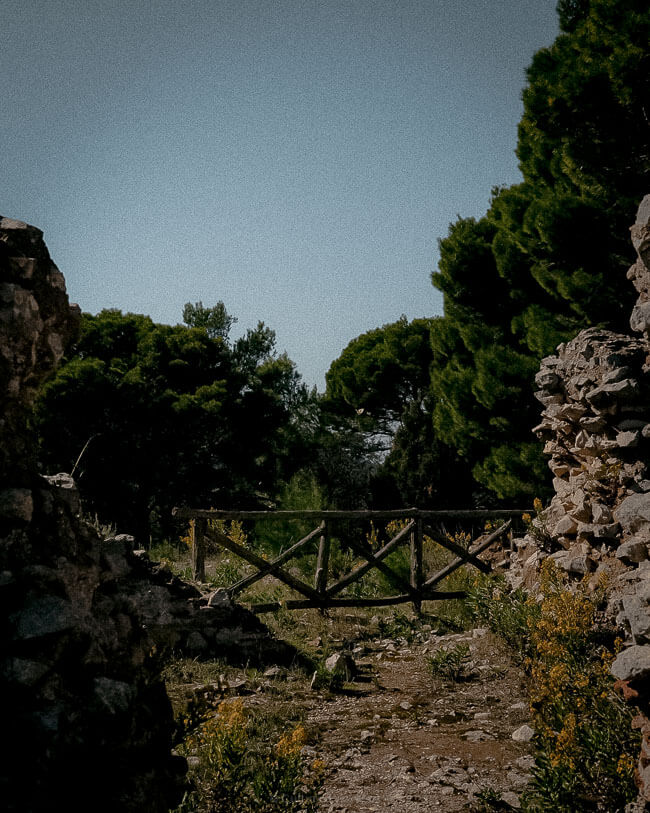 A narrow path between stone ruins and pine trees, leading to a wooden fence with a backdrop of bright blue sky and greenery.