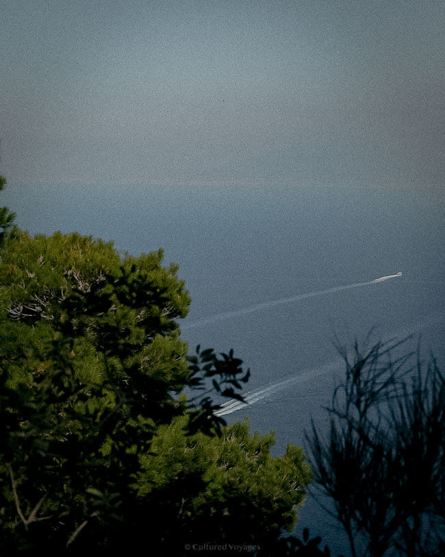 A speedboat leaving a white trail across the calm blue sea, with the shoreline faintly visible in the distance, partially framed by treetops.