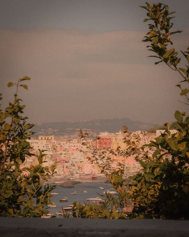 A framed view of Procidaโs iconic pastel-coloured houses and the waterfront, seen through lush greenery, offering a serene perspective for a Procida travel guide.
