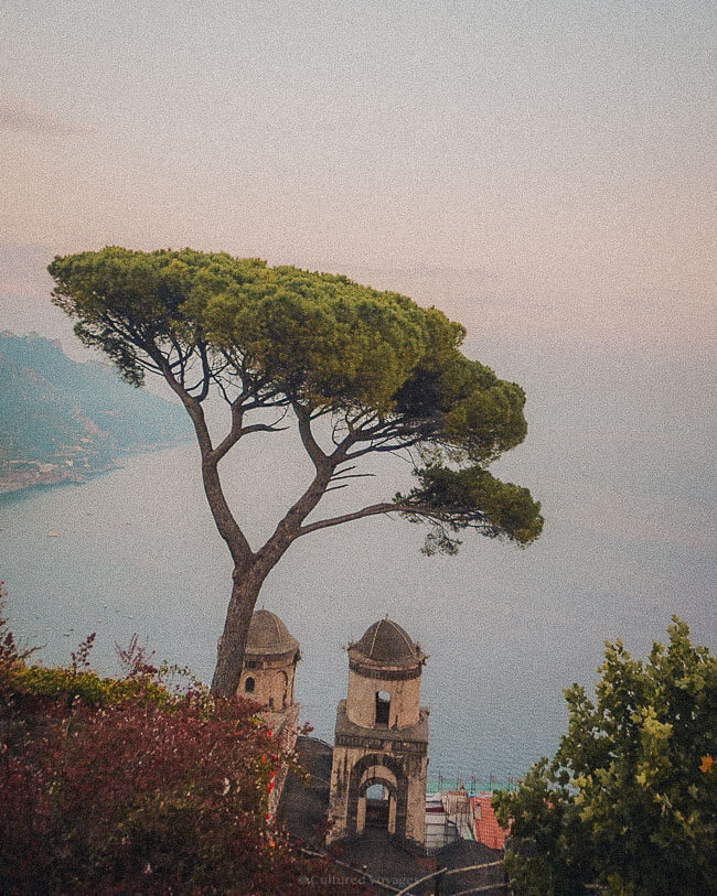 A lone umbrella pine tree rises above the medieval domes of Villa Rufolo, with a hazy coastline view behind—capturing the romantic character of Ravello.