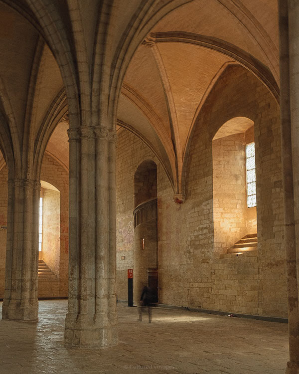Interior of the Palais des Papes with tall gothic vaulted ceilings, arched windows and soft golden light illuminating the stone columns and worn tiled floor.