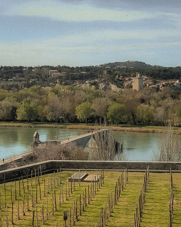 A scenic view of the Rhône River and the remnants of the Pont Saint-Bénézet bridge, seen from above a tidy vineyard, framed by the green hills of Avignon in the distance — a serene capture from one day in Avignon.