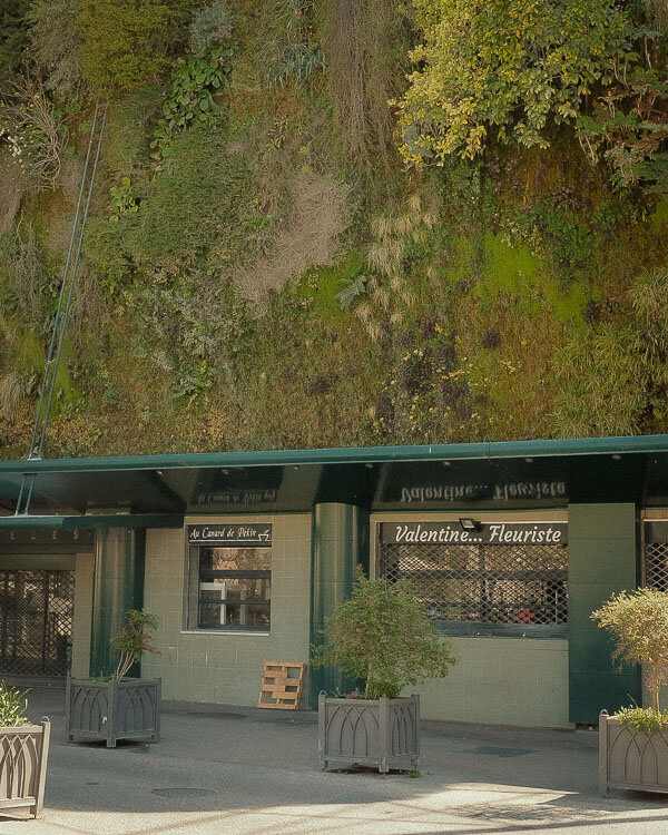 A row of closed green shopfronts, including a florist, backed by a lush vertical garden growing up a cliff face.