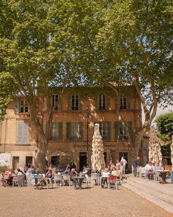 A lively cobbled square where people dine and chat at café tables under the shade of tall plane trees in front of a rustic two-storey building.