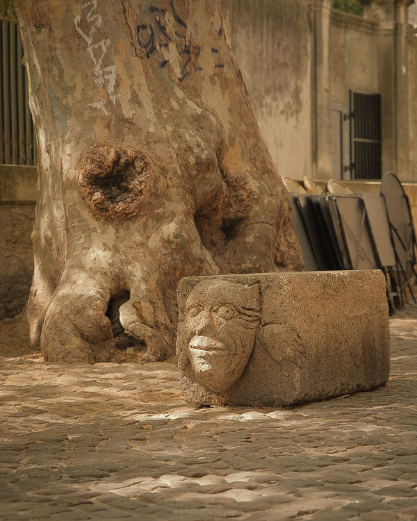 A carved stone block with a whimsical face etched into it sits at the base of an old tree with textured bark and nearby metal chairs stacked against a wall.