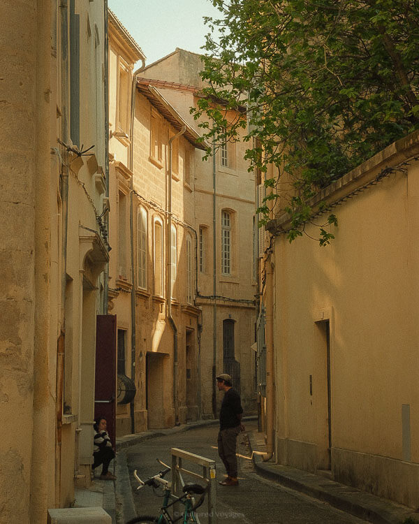 A quiet golden-hued street in Avignon bathed in early evening light, where a man strolls past shuttered homes, bicycles resting nearby.