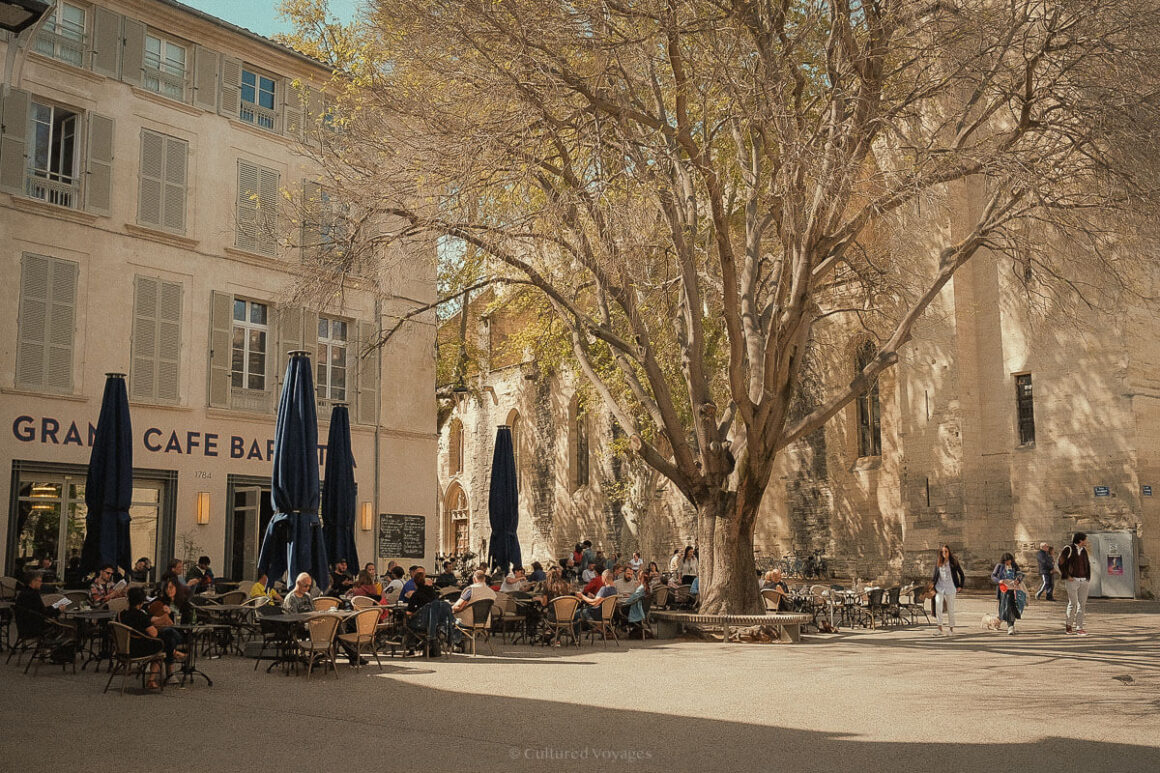 A lively square with a large tree at the centre, outdoor café seating filled with people enjoying the sun, and the historic Grand Café Baretta building in the background.