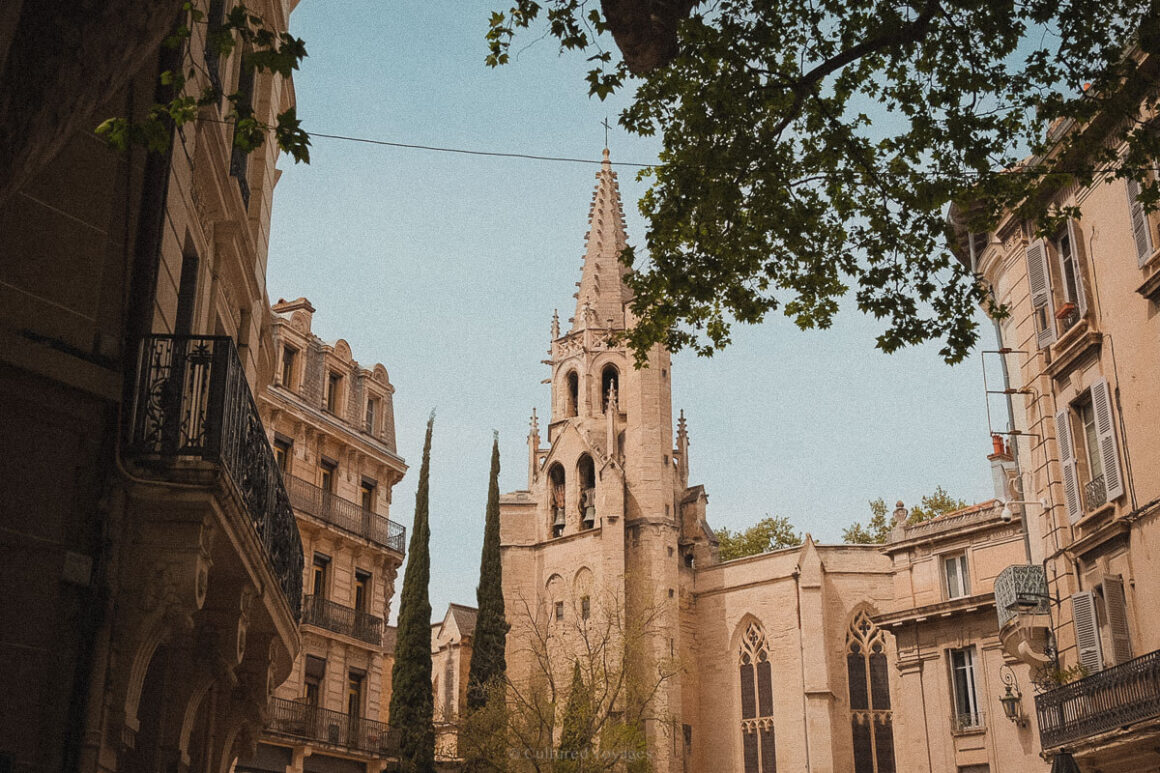 A Gothic-style stone church rises between elegant buildings, with the spire reaching into the sky and leafy tree branches framing the upper edge of the photo.