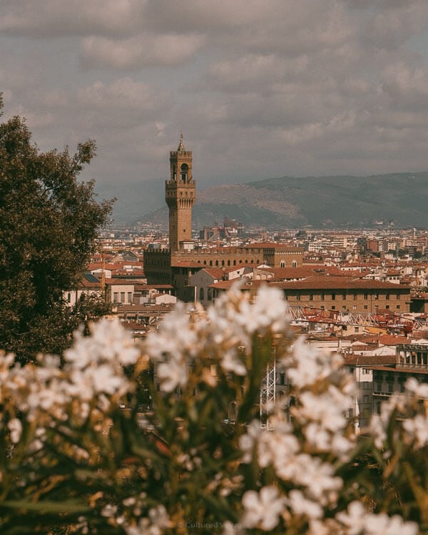 A panoramic view of Florenceโs Palazzo Vecchio behind blooming white flowers, offering a stunning perspective during the best time to visit Florence.