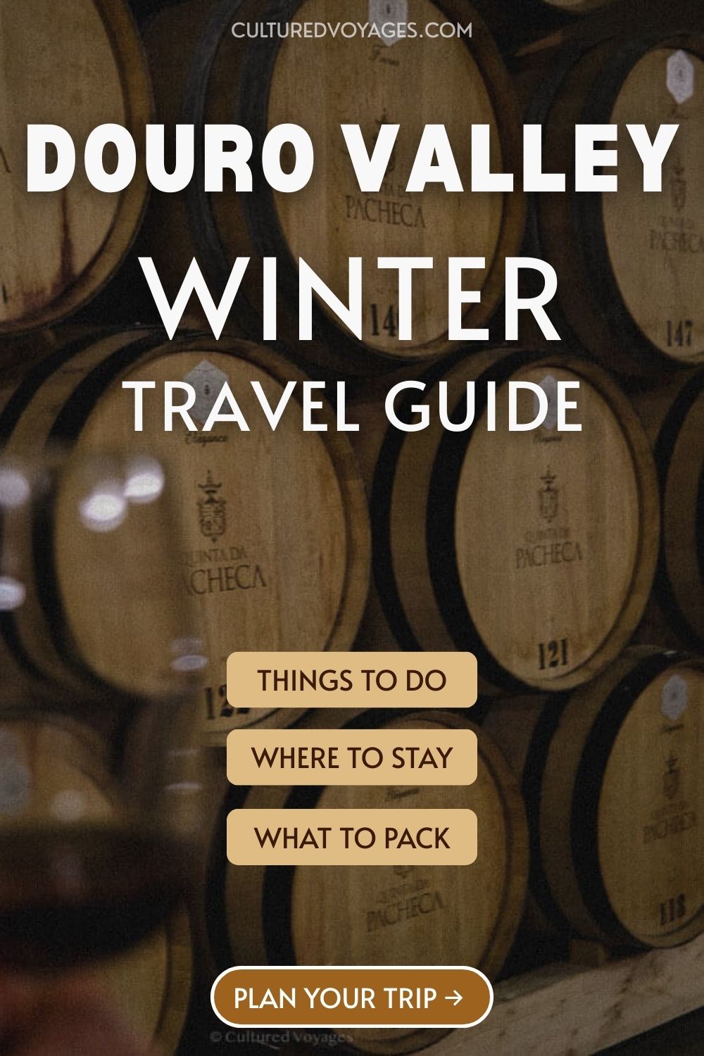 Douro Valley winter pinterest pin cover, A close-up image of stacked wooden wine barrels inside a dimly lit cellar, with a hand holding a glass of red wine in the foreground. The setting evokes a rustic and cosy atmosphere typical of vineyard tours during the winter season in the Douro Valley.