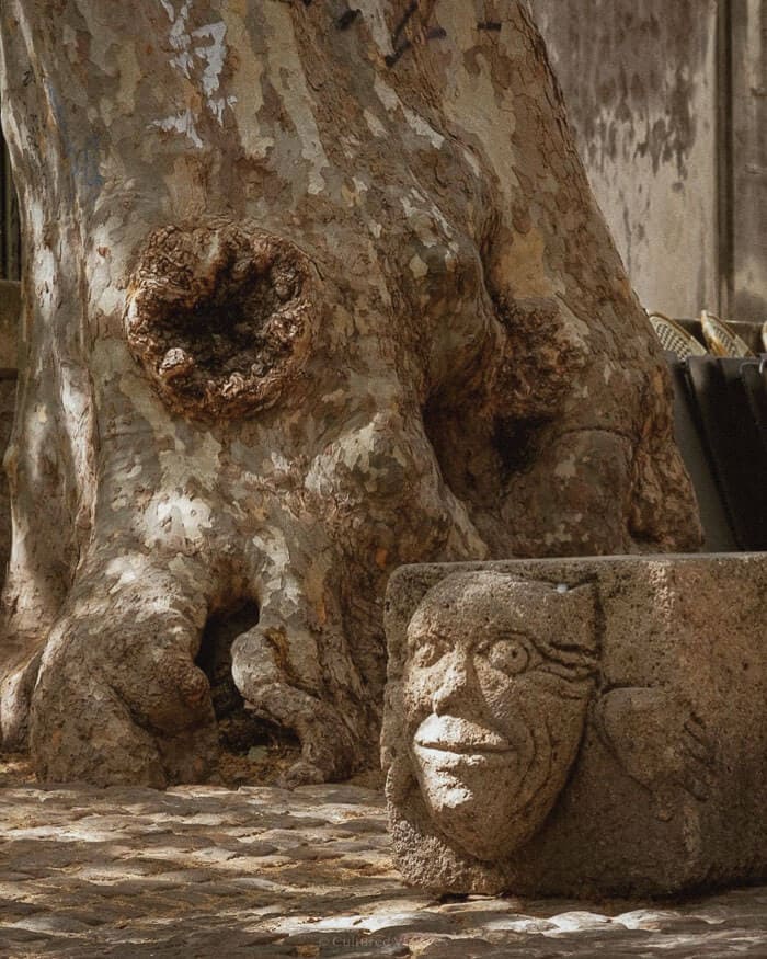 A weathered stone sculpture beside a centuries-old tree trunk in a shaded square in Provence.