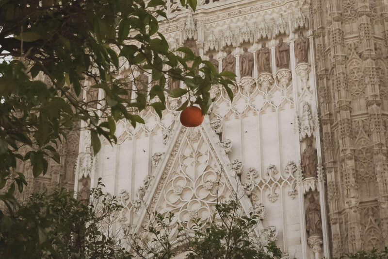 An orange tree in front of an intricately carved architectural detail in Seville