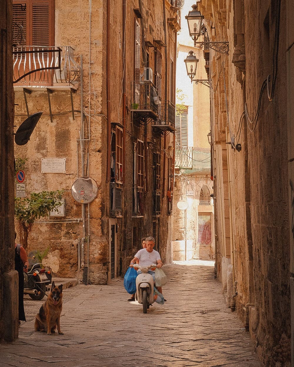 Man riding a scooter with shopping bags through a narrow Palermo lane, a dog watching from the corner