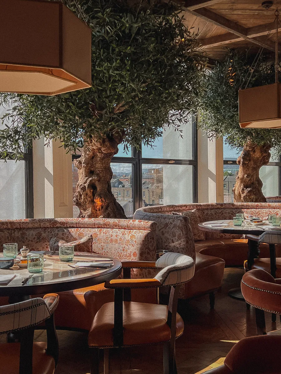 Rooftop restaurant at The Leinster in Dublin, with patterned banquettes and olive trees beside the windows.