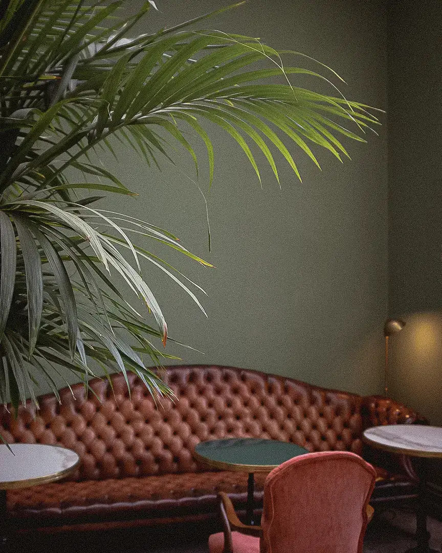 Palm fronds over a leather chesterfield in the green-walled atrium