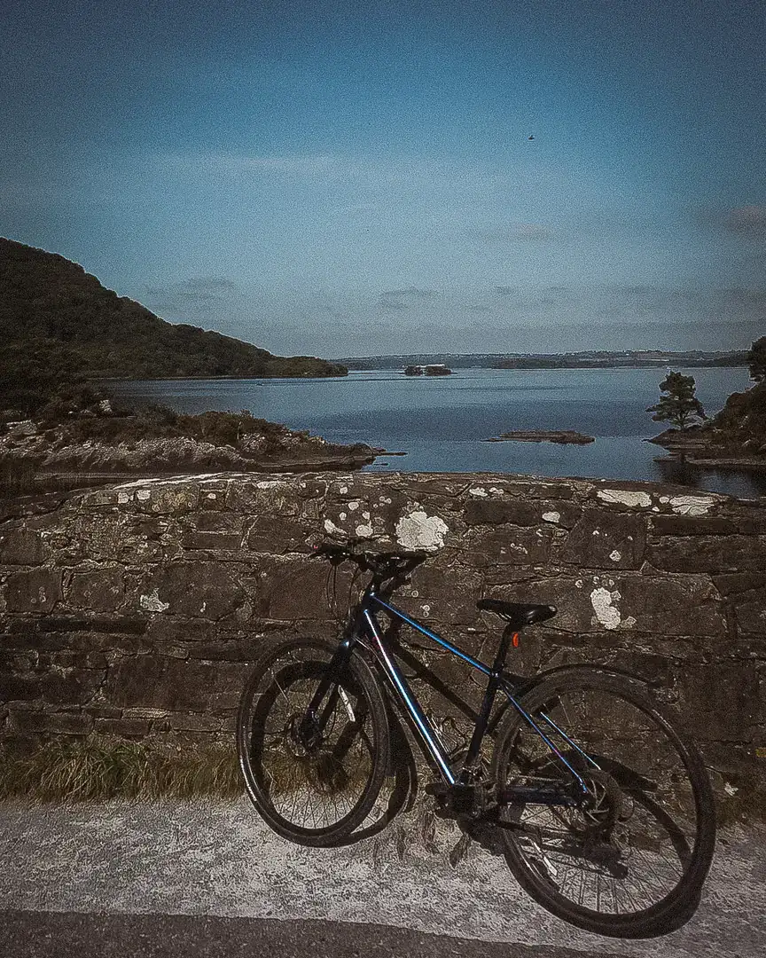 A bicycle against a stone wall above a lake with wooded islands in Killarney National Park