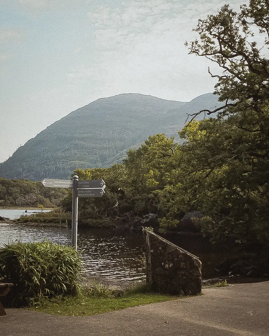 A wooden signpost at the water's edge below a mountain in Killarney National Park